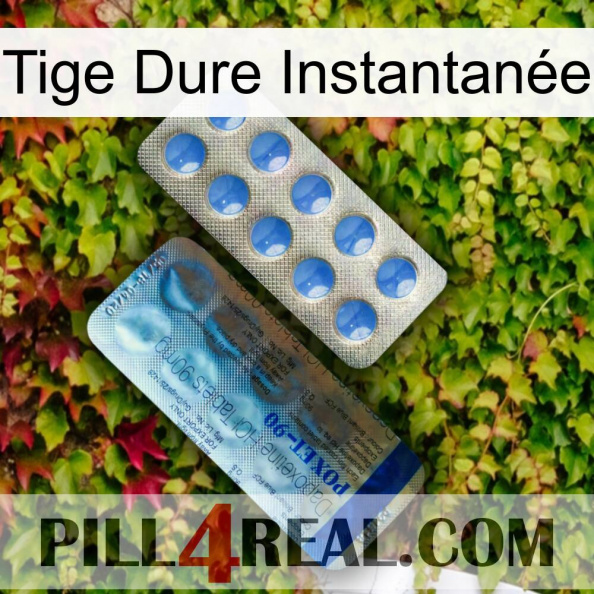Tige Dure Instantanée 40